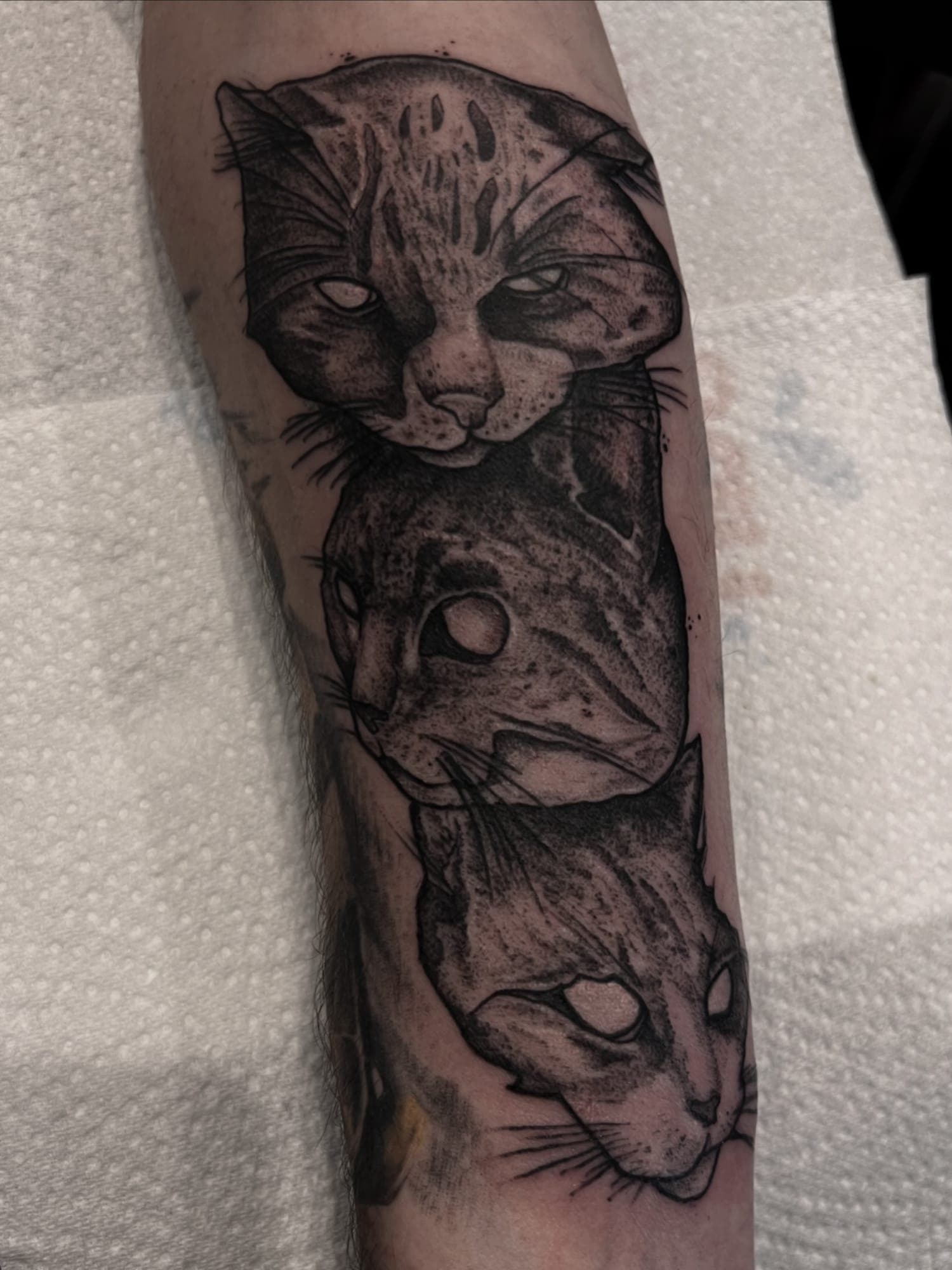 Tatouage réalisé par Hugo au Tattoo Studio Tewfick à Angers